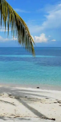Kalanggaman & Malapascua Island Day Tour with Private Transportation